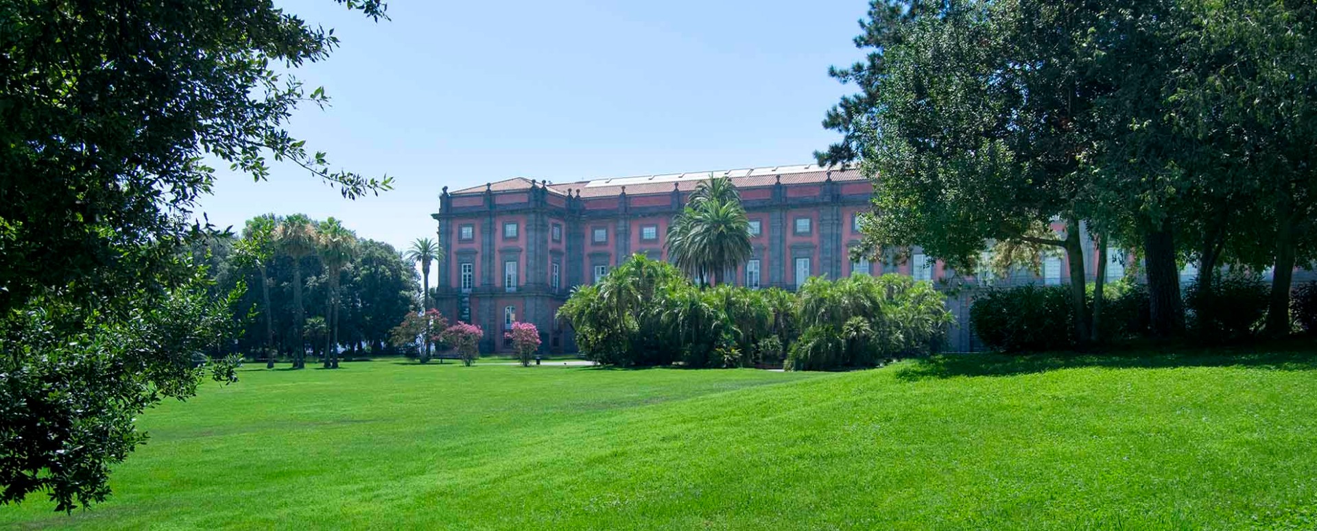 MUSEO DI CAPODIMONTE