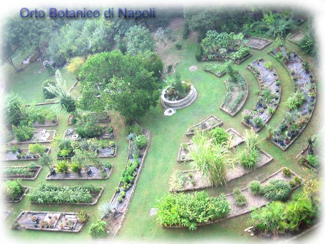 ORTO BOTANICO