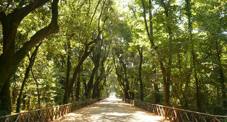 Bosco di Capodimonte